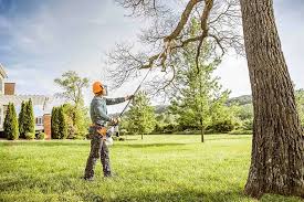 Bayonne, NJ Tree Care Services Company